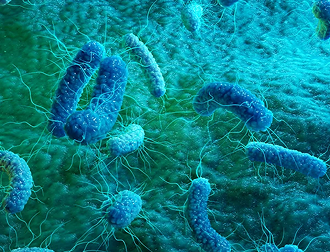 Epigenomics Sequencing