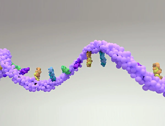 Genomics Sequencing