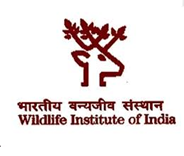 Institute