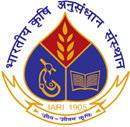 Institute