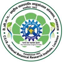 Institute