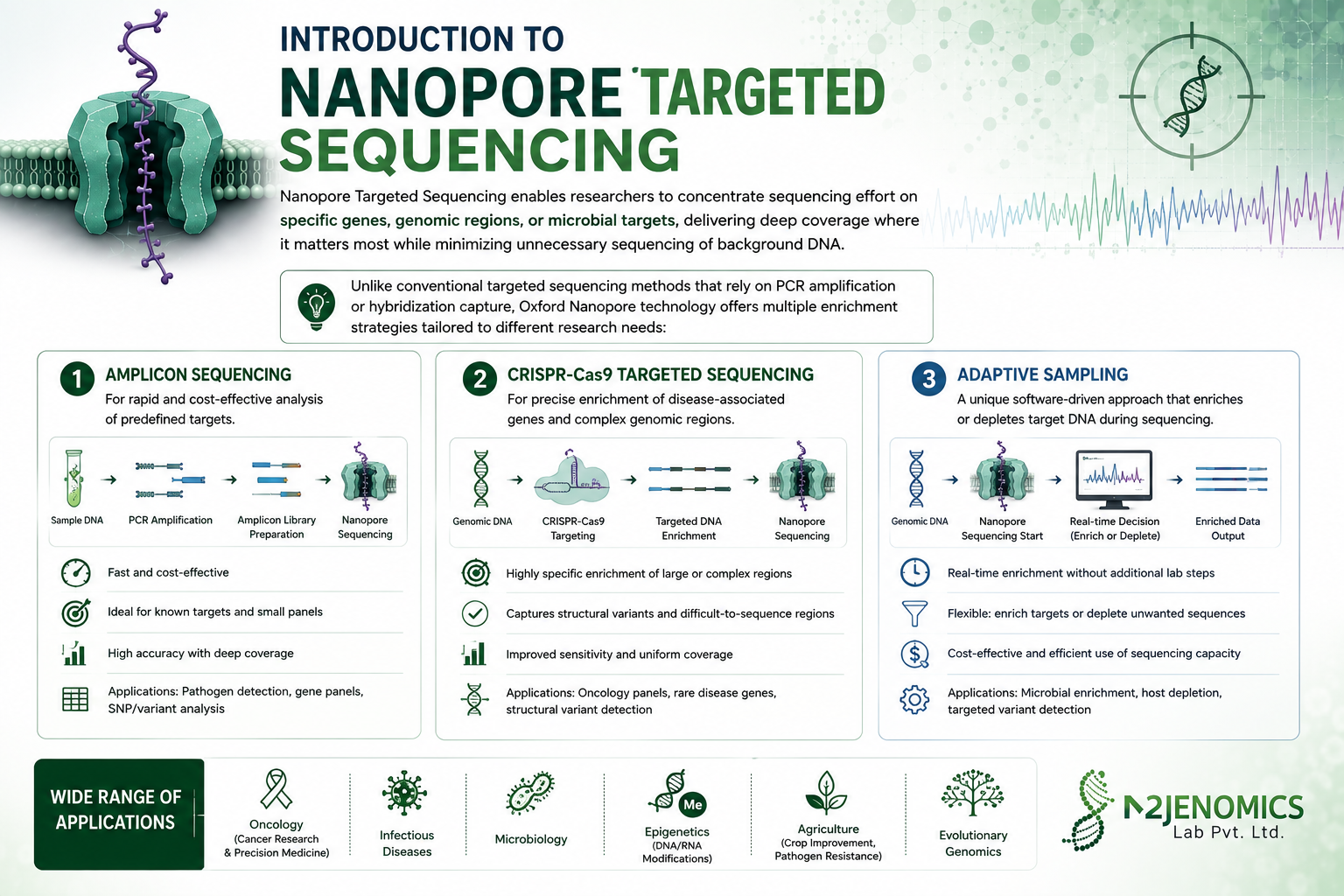 Nanopore Targeted Sequencing Service to Detect SNVs, SVs, and Epigenetics