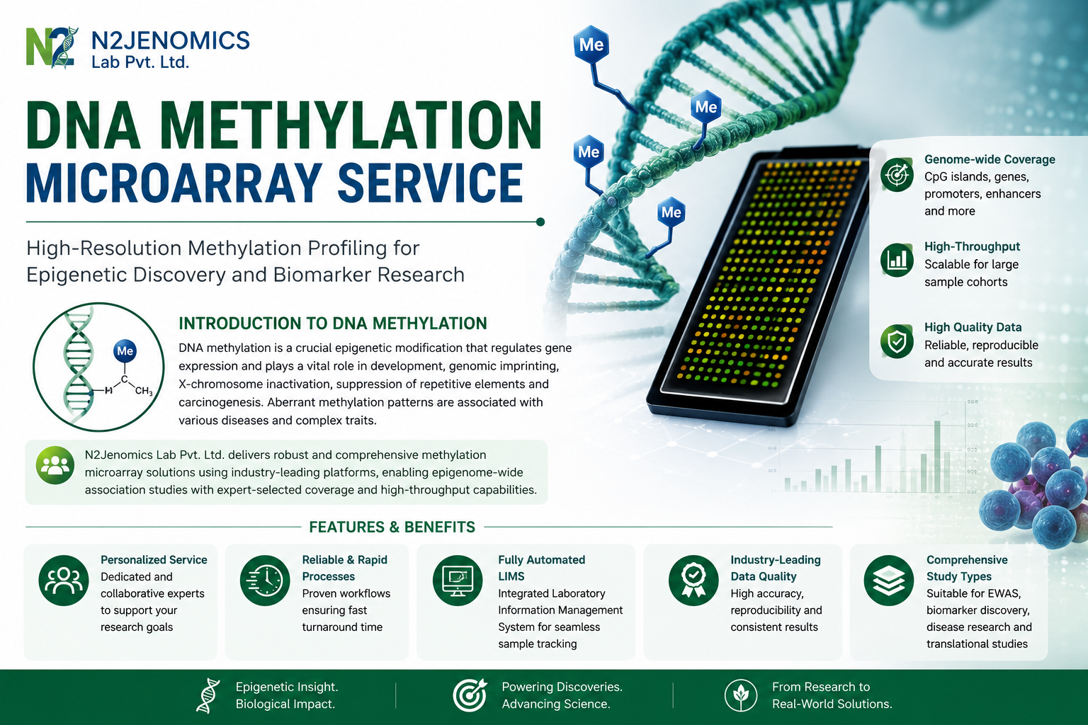 DNA Methylation Microarray Service