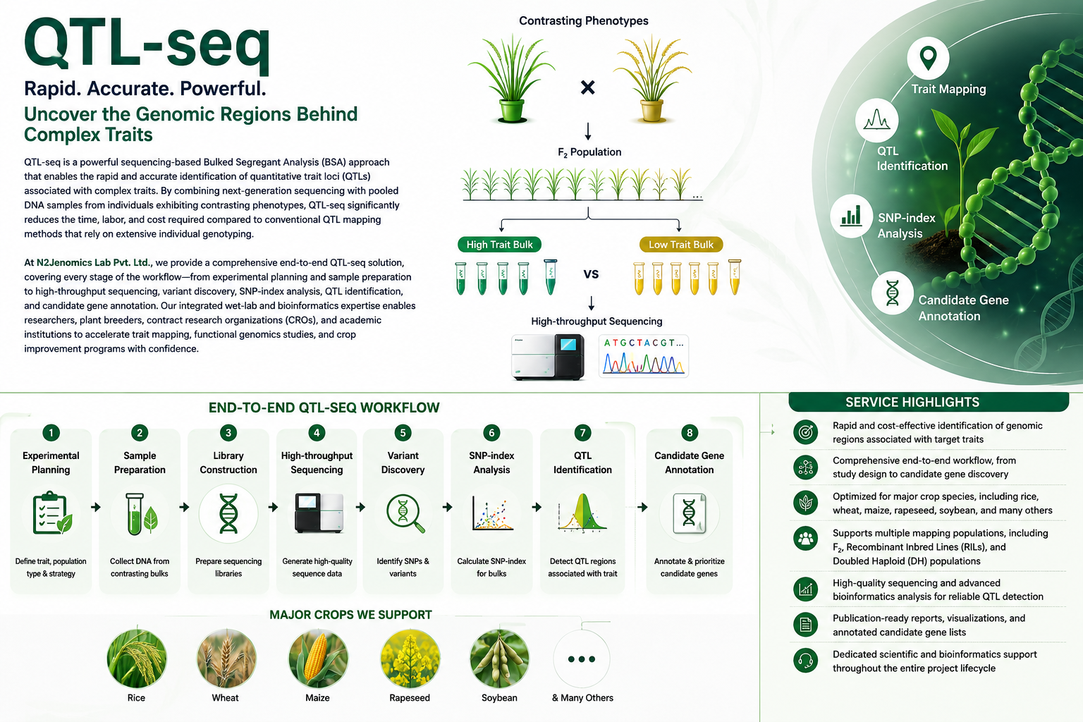QTL-seq Approach | High-Resolution QTL Mapping for Crop Research