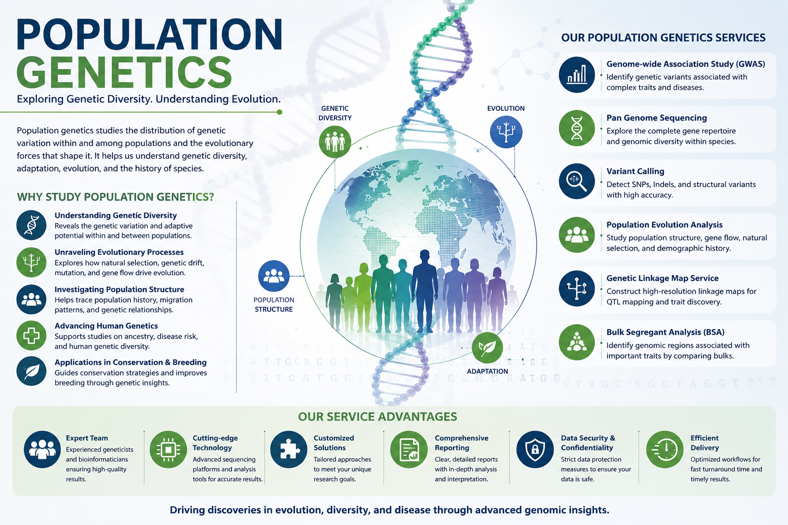 Population Genetics