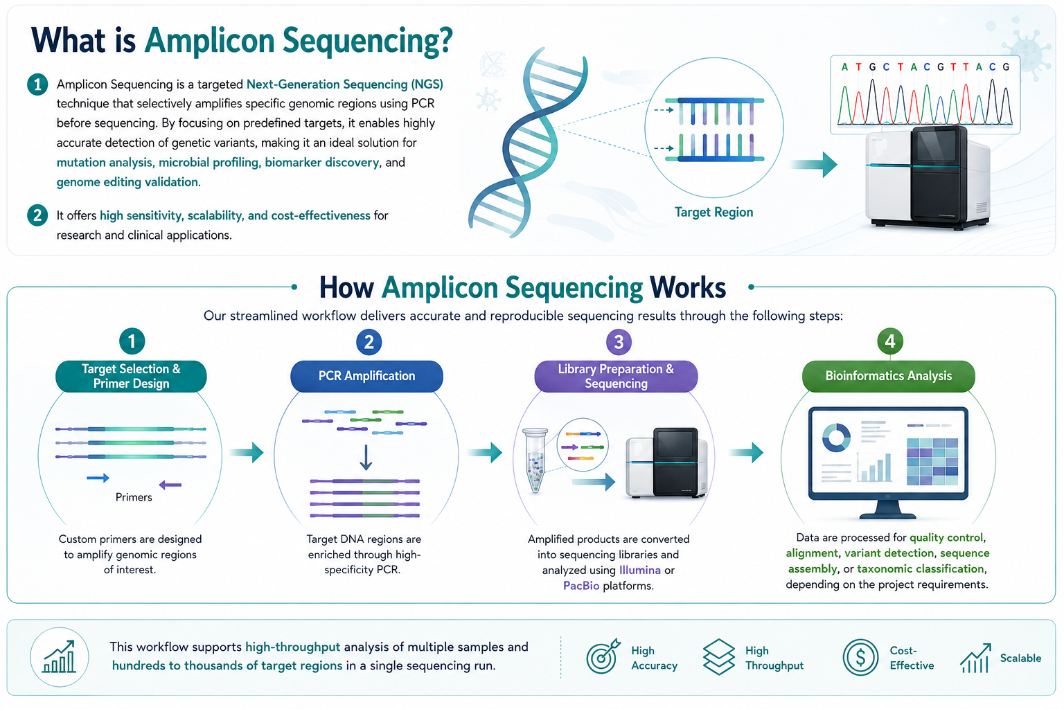 Amplicon Sequencing Services: High-Resolution Genetic and Microbiome Analysis