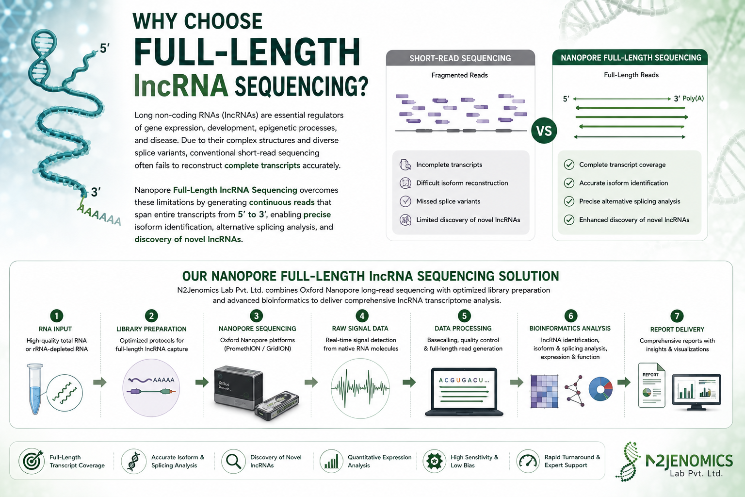 Nanopore Full Length LncRNA Sequencing Service for Isoform Discovery