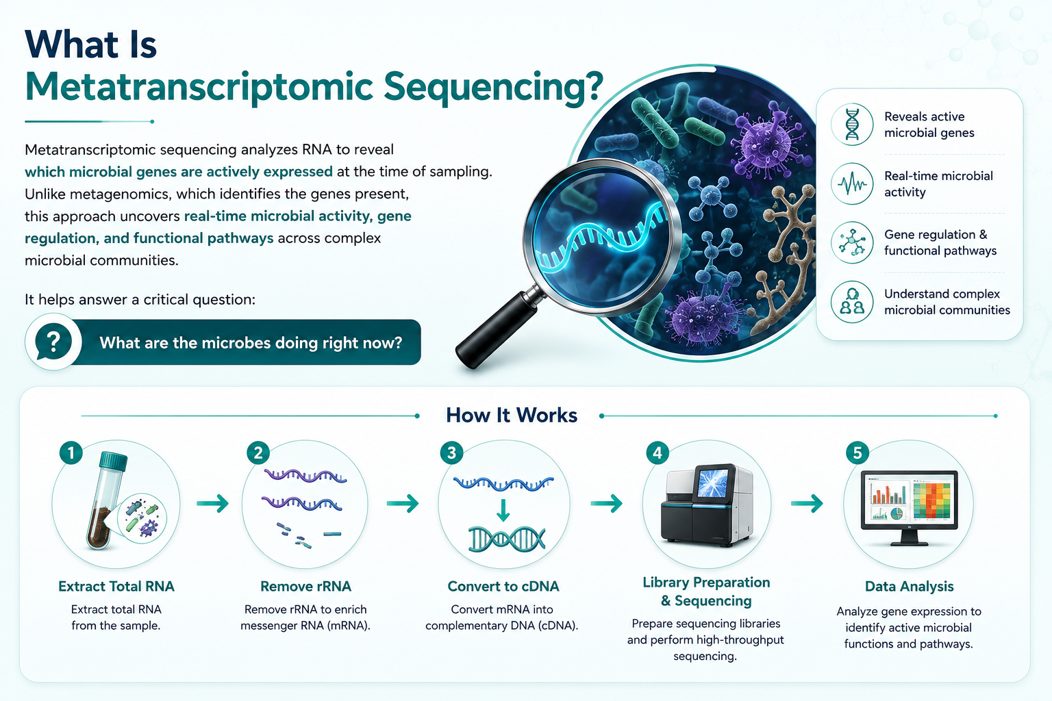 Metatranscriptomic Sequencing for Microbiome Functional Profiling